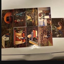 Pristine Vintage Never Never Land Point Defiance Postcard Set