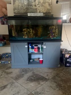 Fish tank