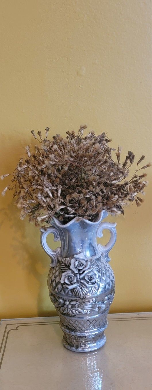 Jack In The Bush Seeds