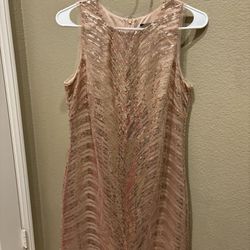 Glitter Dress (Size 8)