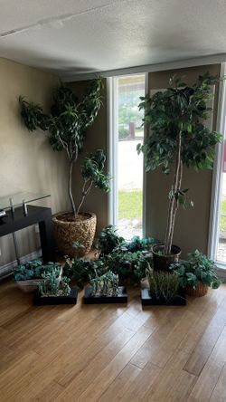 Artificial Plants