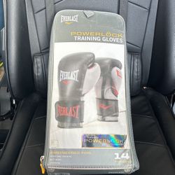 Everlast Boxing Gloves