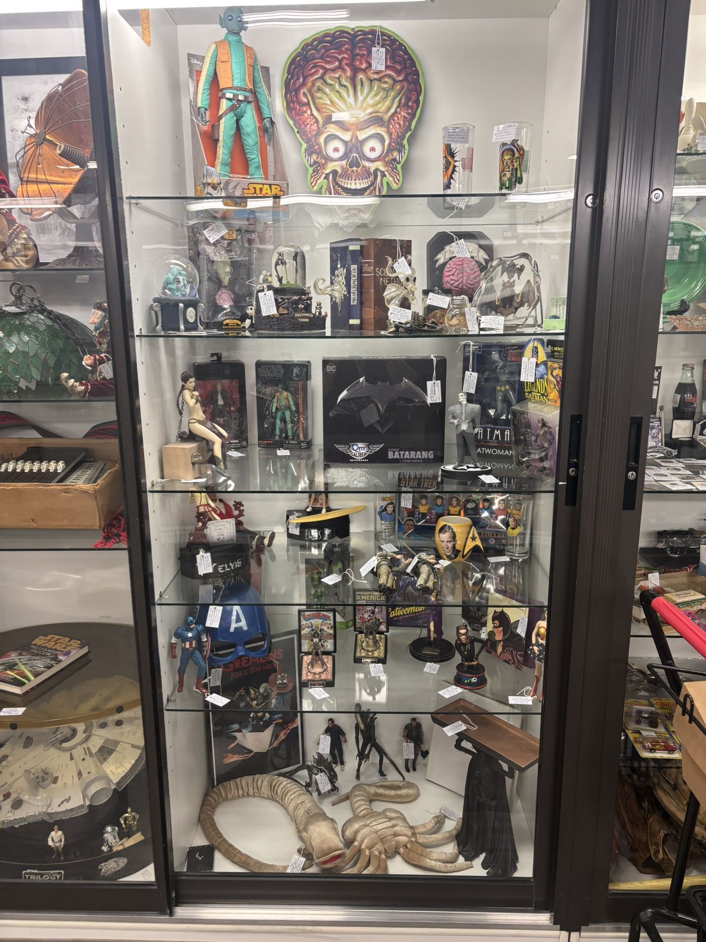 Collector Case At Brass Armadillo