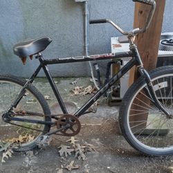Fuji Beach Cruiser
