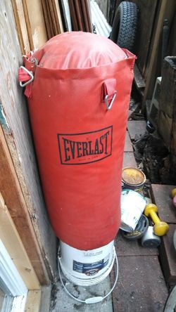 Everlast punching bag