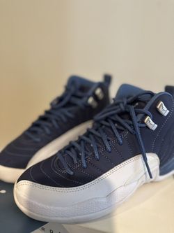 Air Jordan 12 Retro SE 