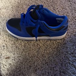 Nike Dunk Lows  Ps’ Hyper Colbalt ,size 2 Worn Once No Box 