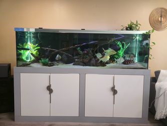 200 Gallon Tank with Custom one of a kind Stand, 120Gal Sump + more