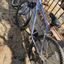 Bike/bicicleta
