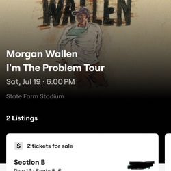 Morgan Wallen Concert Tickets Phoenix July 18-19 Floor Seats, ASKING WHAT I PAID