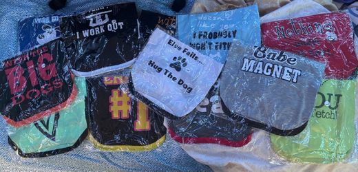 Assortment of 12 (puppy/cat/small dog) shirts.