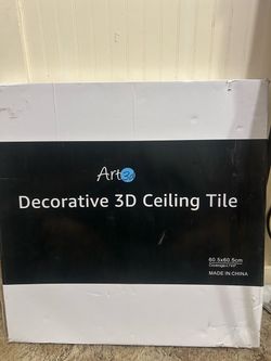 Decorative 3-D ceiling tiles (3 box’s full)
