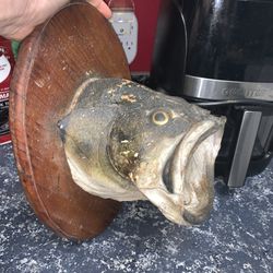 Open Mouth Fish Wall Art On Wood bass