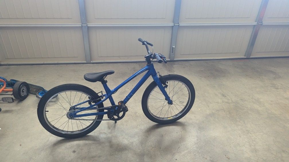 20 Inch Blue Bike