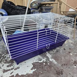 Guinea Pig Cage 