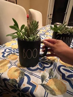 Rae Dunn BOO Mug with Succulents