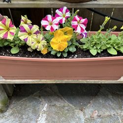 Flower Basket For Your Garden 24” Long Each 