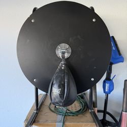 Speed Punching Bag