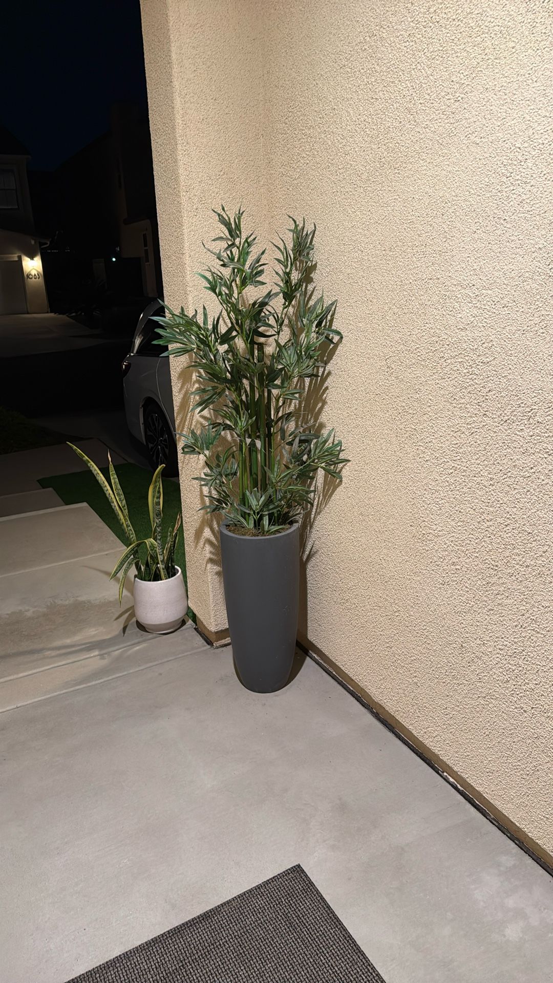 Faux Bamboo Like Plant