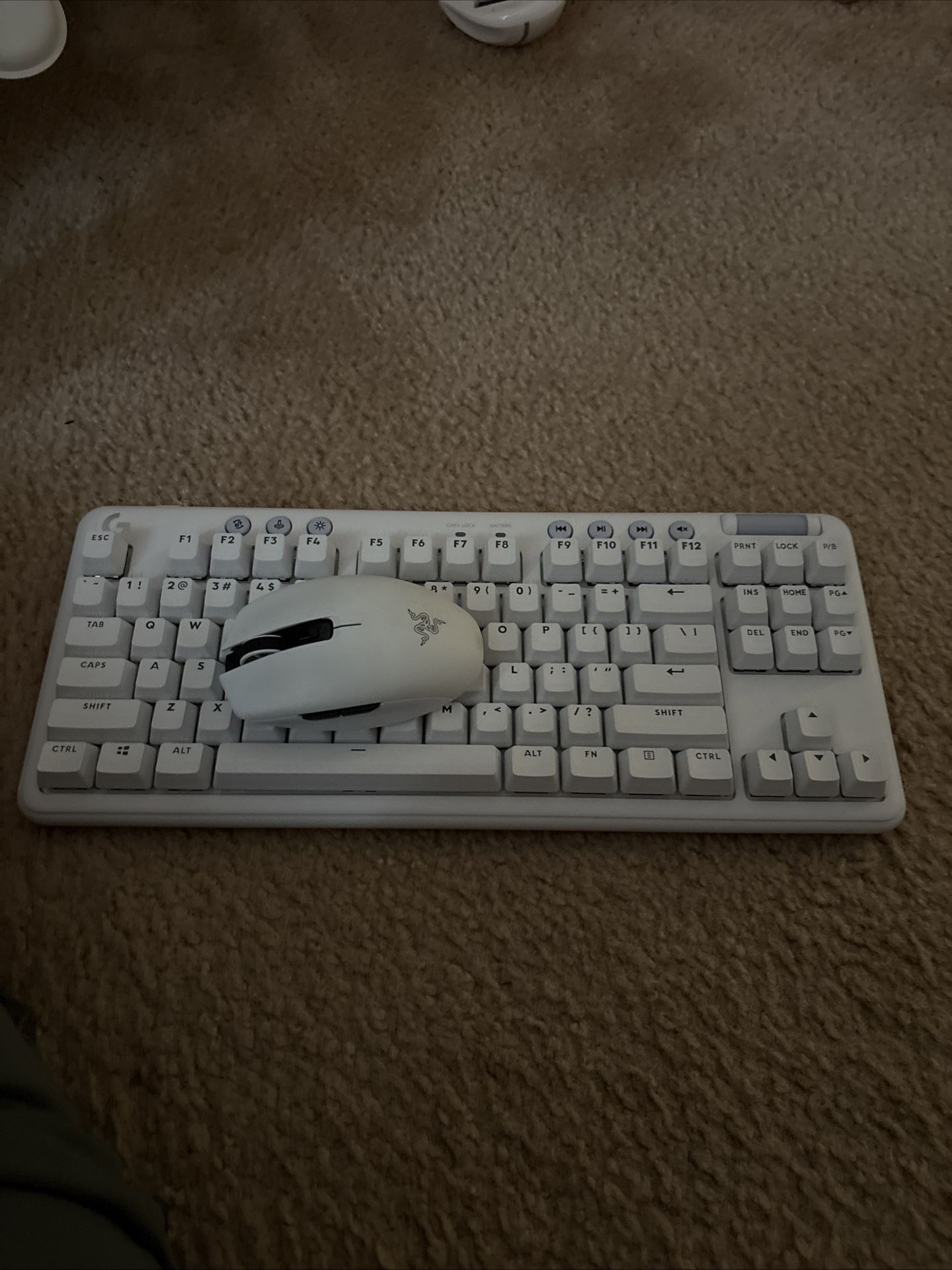 Logitech Keyboard, Razer Mouse