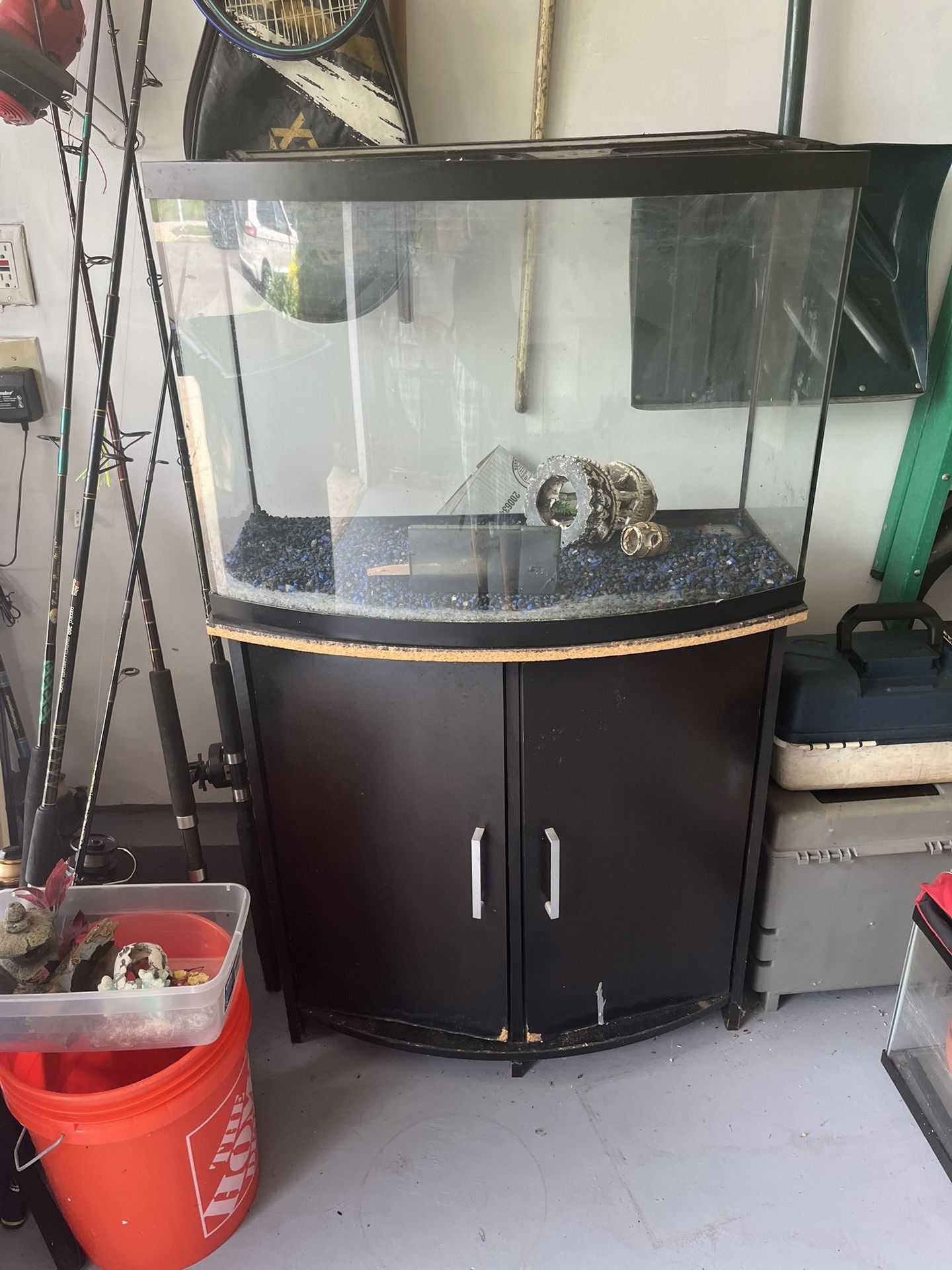 Fish Tank 
