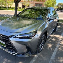 2022 Lexus NX 250 SUV