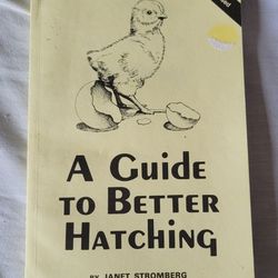 Chicken Book - Hatching