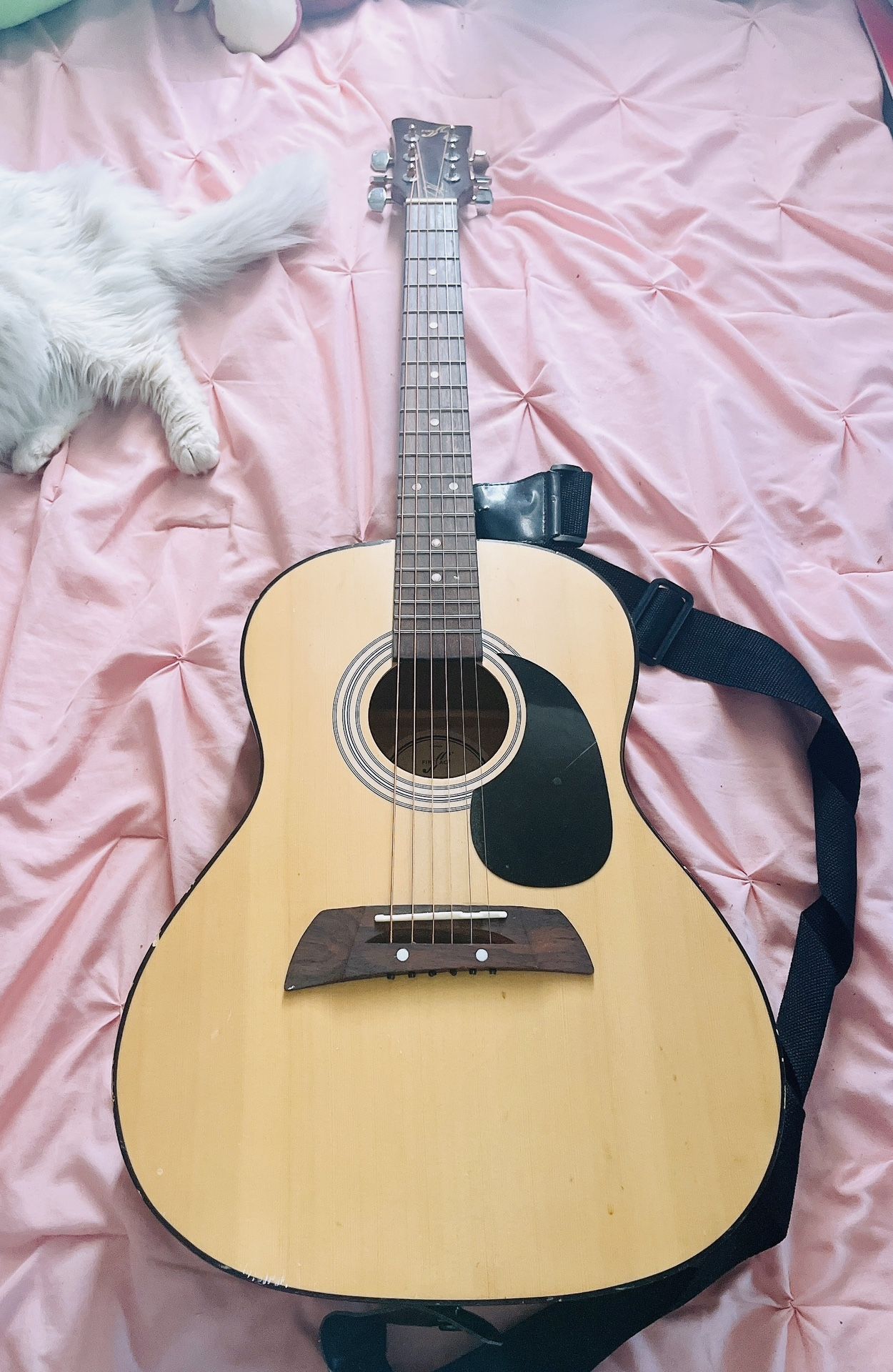 Guitar