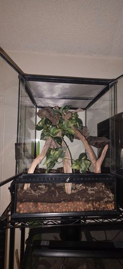 Bio Active Gecko Reptile Tank