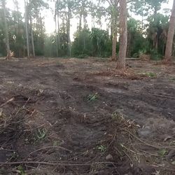 Land, Land Clearing 