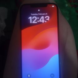 iPhone 12 Pro Max 256g