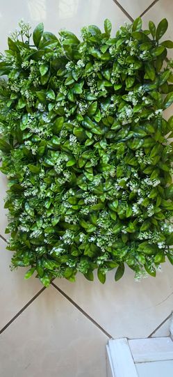 Wall backdrop covering