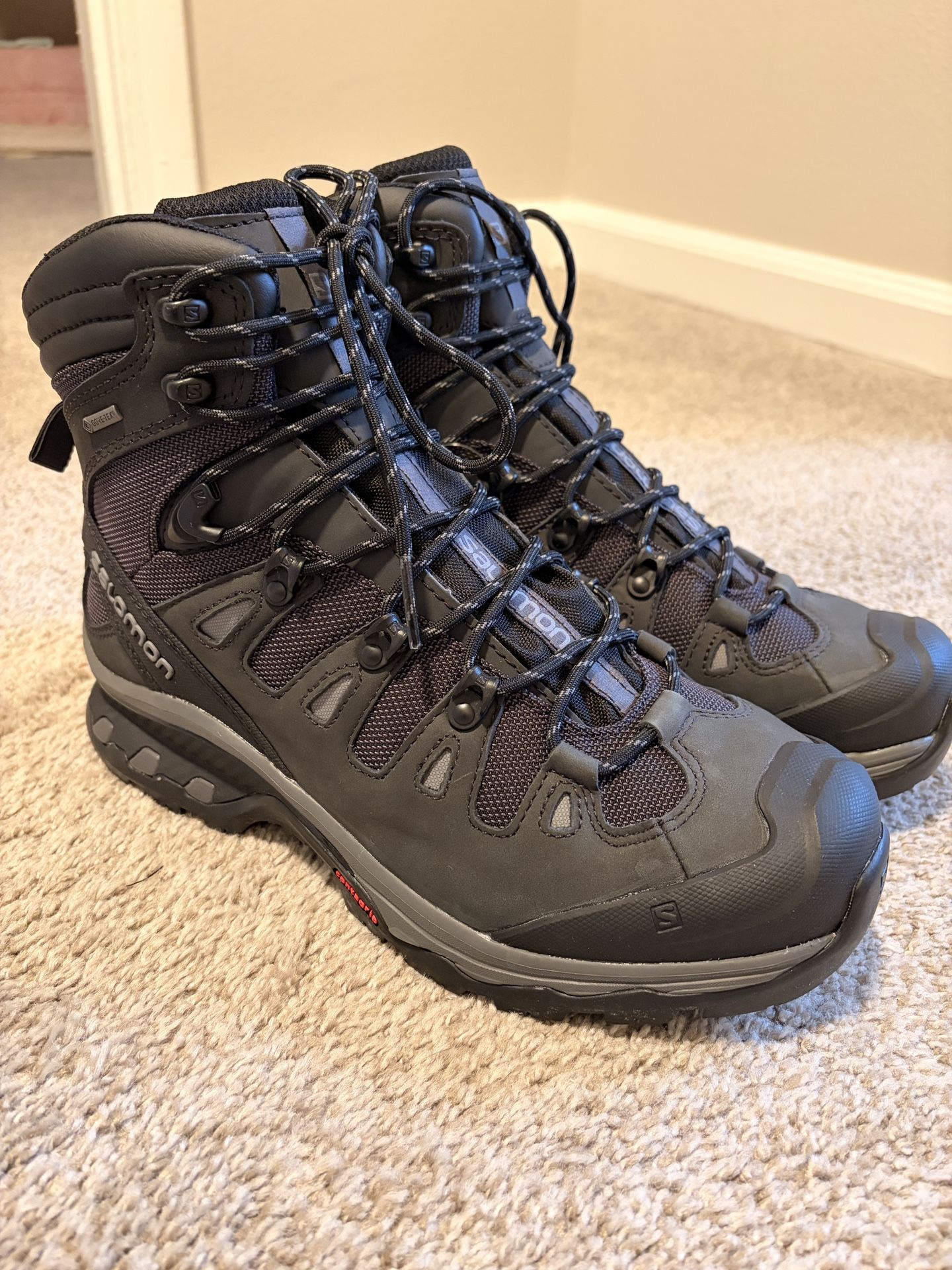 Salomon Quest 4D 3 GTX Men’s Hiking Boots