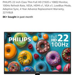 Philips 22” Computer Monitor 