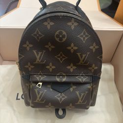 Louis Vuitton Palm Springs Mini 