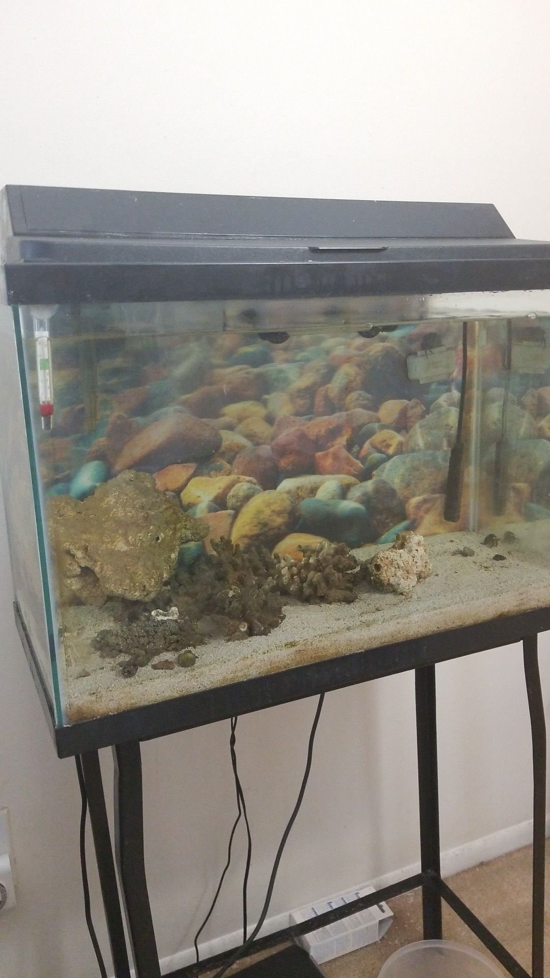 30 gal fish tank with stand.
