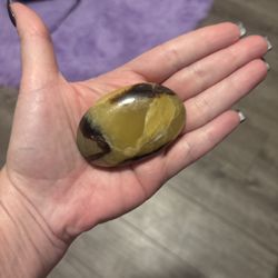 2” Oval Shaped Septarian Palm Stone