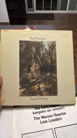 Van Morrison album