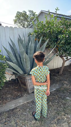 Blue Agave