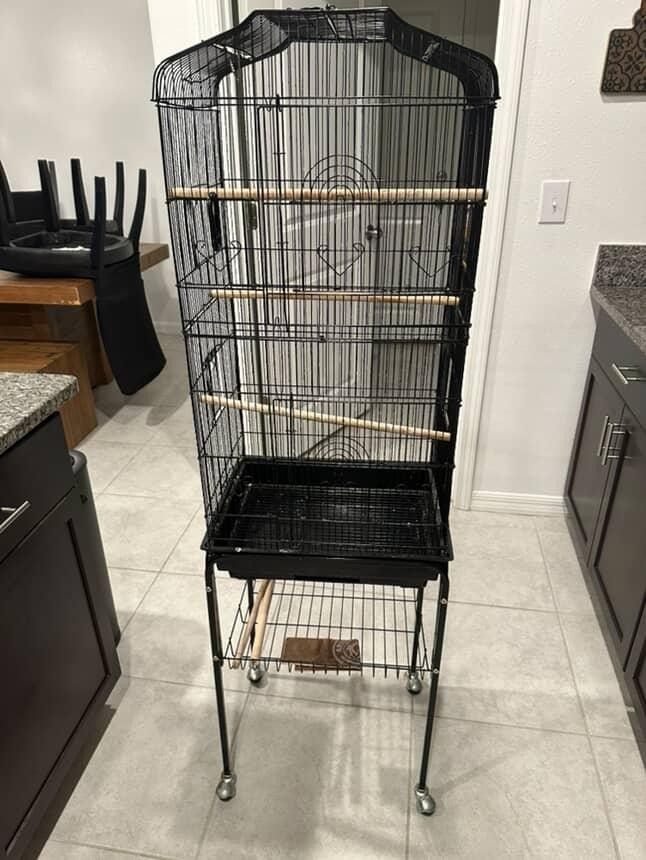 Bird Cage