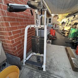 Commercial Calf Raise Machine