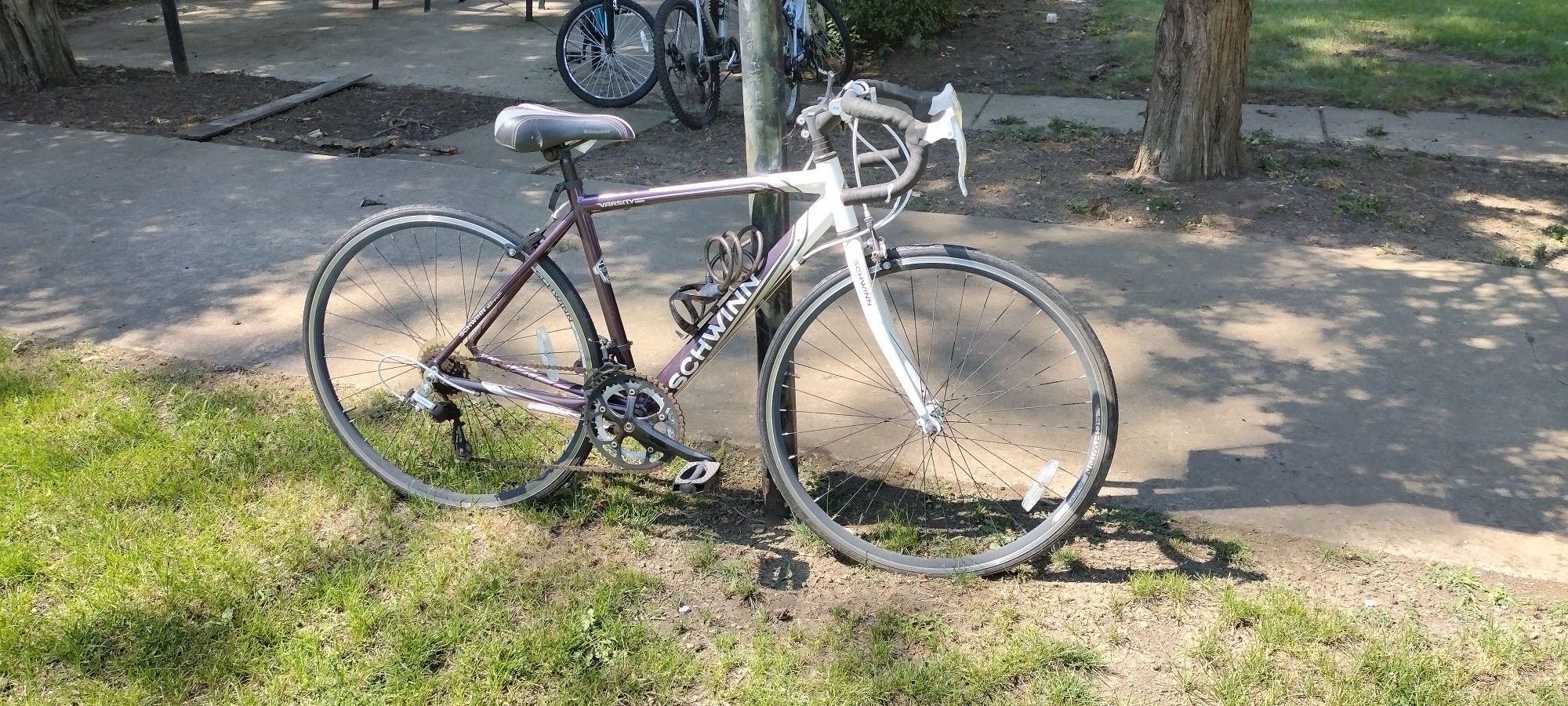 Bicicleta de Carreras 