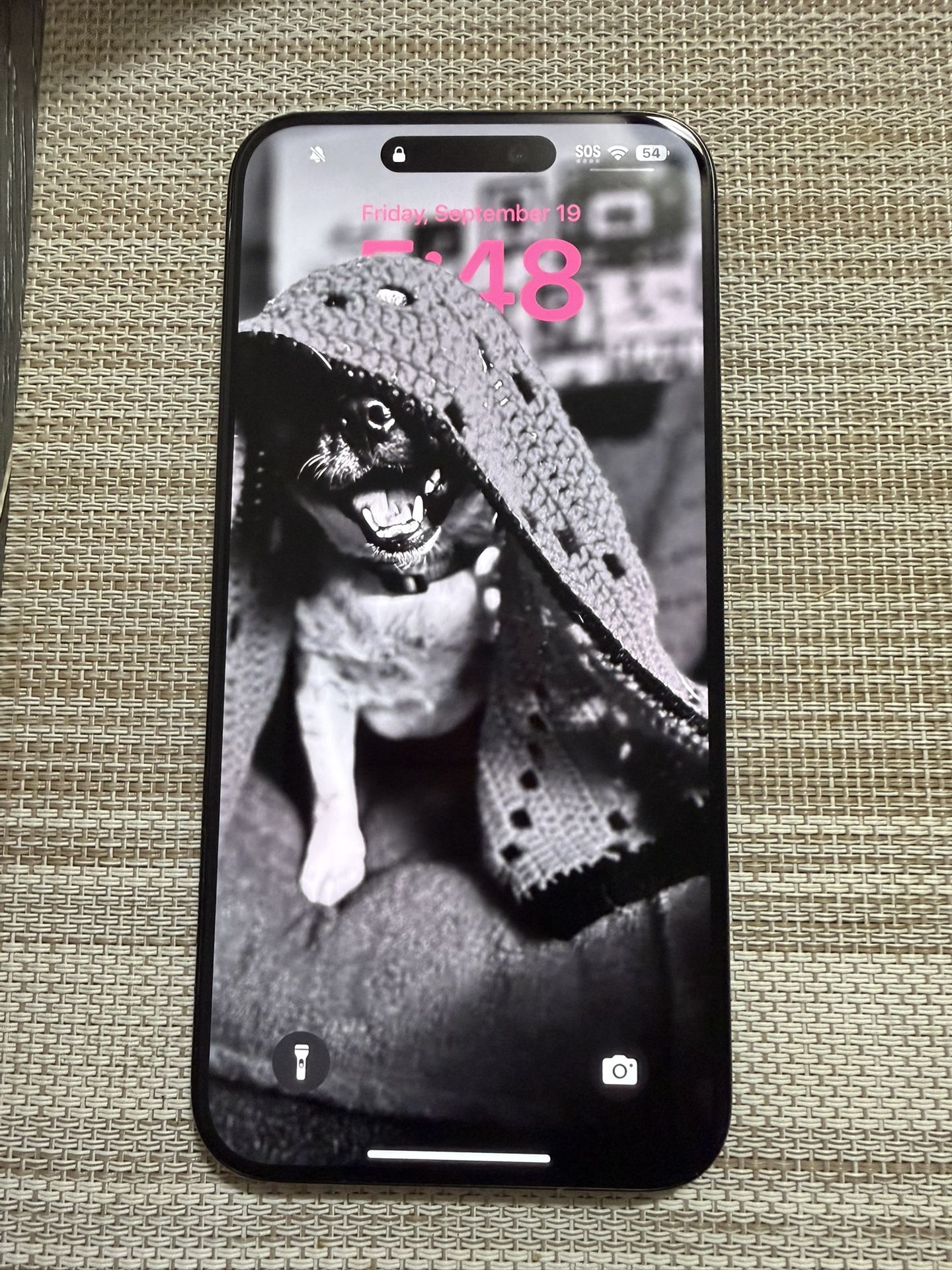 Unlocked 15 Max Pro 256g