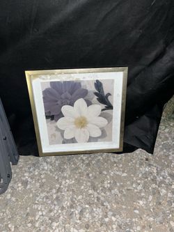 Blossom and Succulent White wall art print by Ivo Stoyanov