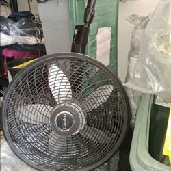 Fan