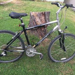 Beautiful Giant Bike $65