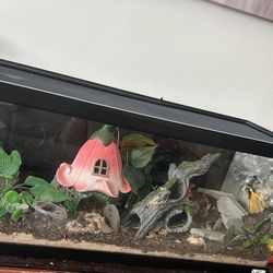 Leopard Gecko Cage 