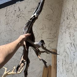 Aquarium Driftwood