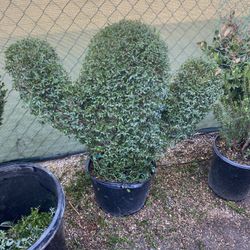 Animal Topiary Flamingo 75, Mushrooms 80, Cactus 75, Little Cactus 70, Heart 75, Bear 75, Bunny 75, Dog 80, Hummingbird 85, Angels 85, Duck 65