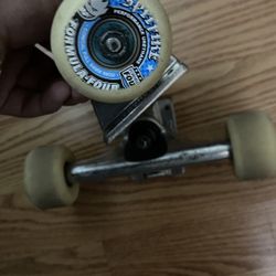Thunder Trucks Skateboarding 